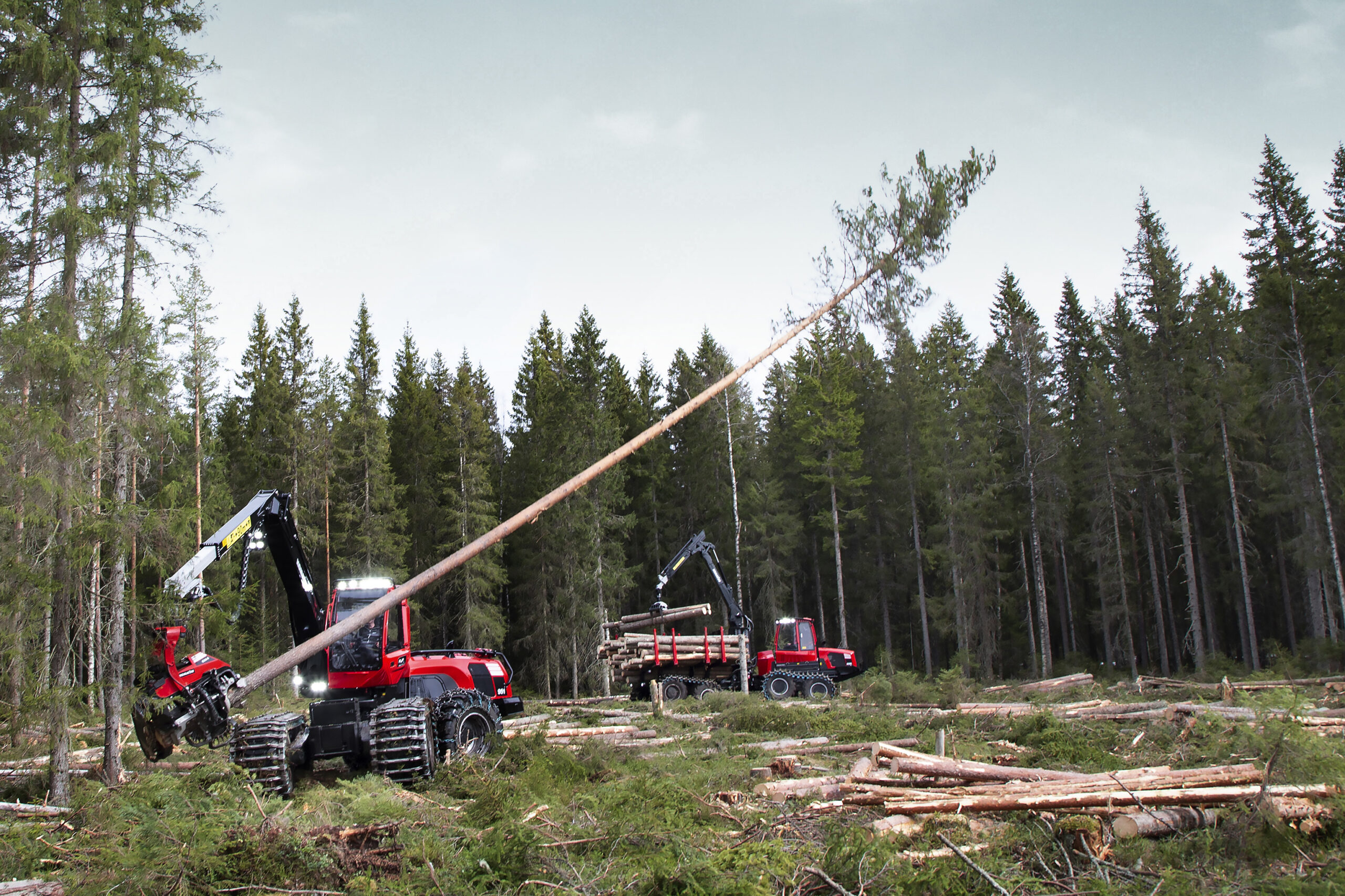 Forest industry gathers strength for greater equality